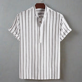 David – Pruhovaná Pánská Košile